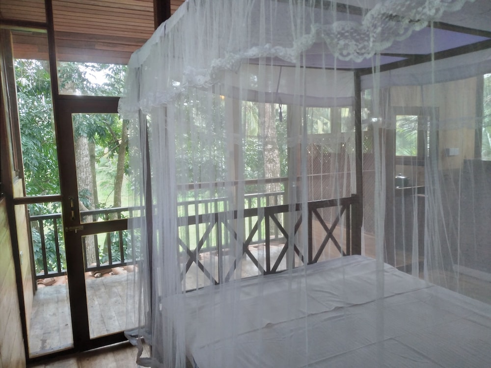 Green Herbal Ayurvedic Eco-Lodge 29/54