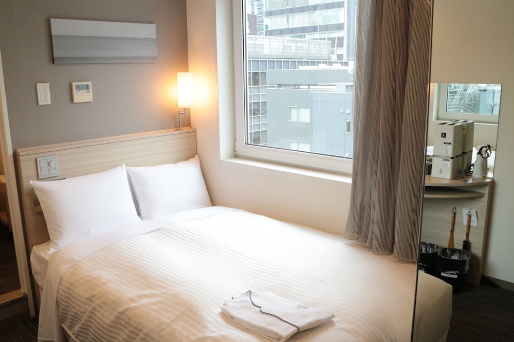 Sotetsu Fresa Inn Tokyo Kyobashi 13/50