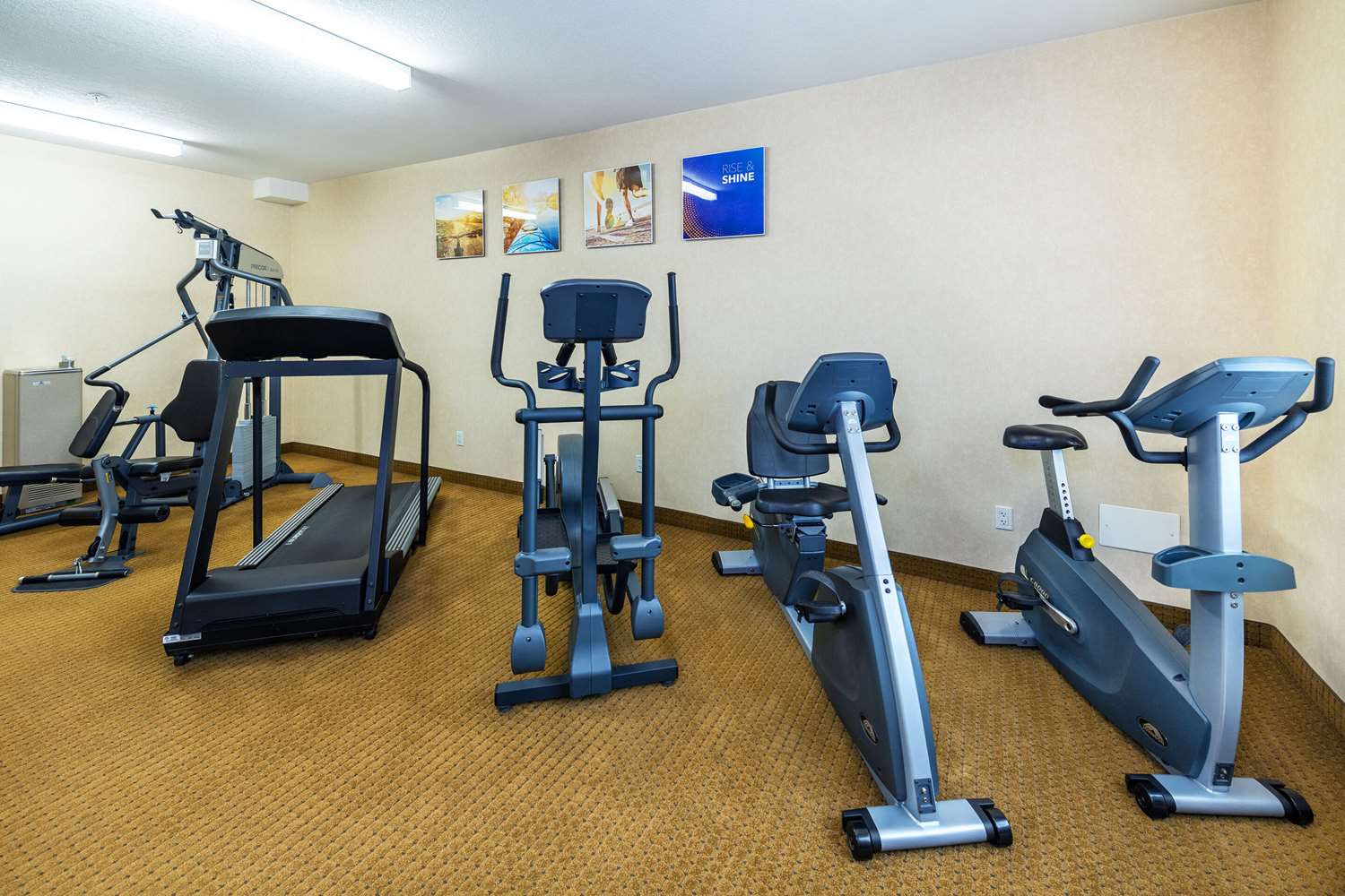 Comfort Inn And Suites Edson Yellowhead Highway 8/20