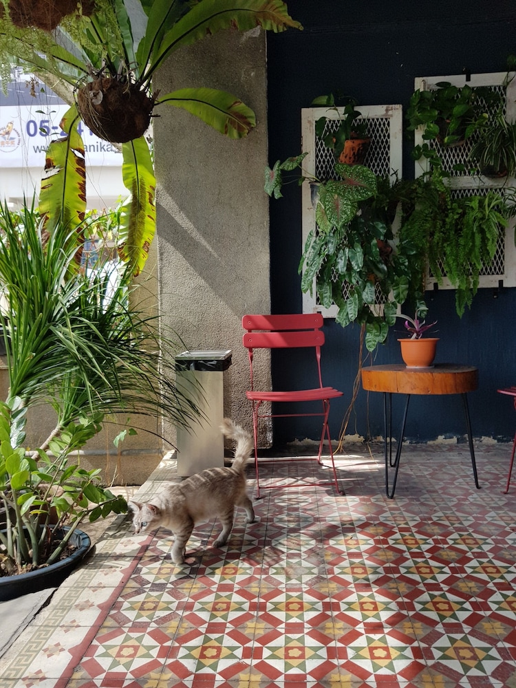 The Brownstone Hostel & Space 10/50
