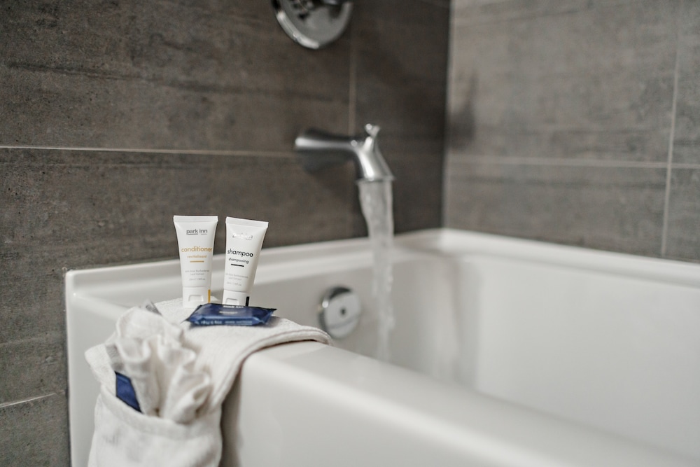 Park Inn By Radisson Edmonton Airport 60/60