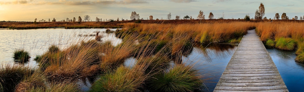 surroundings
