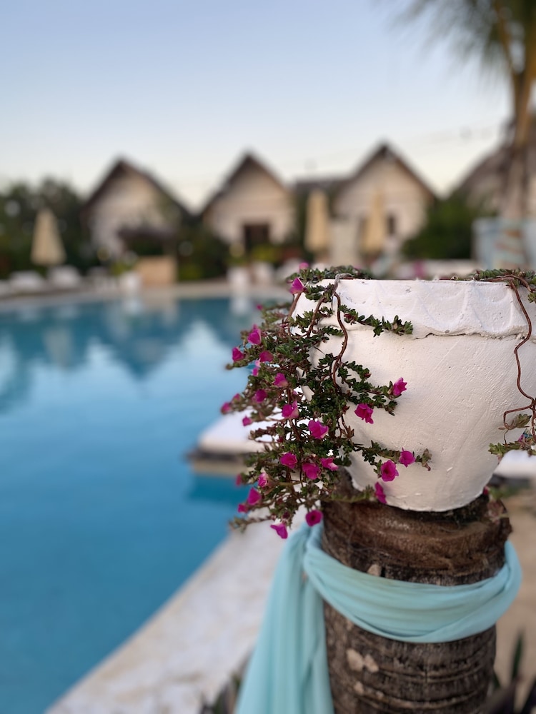 Zen Boutique Resort 50/50