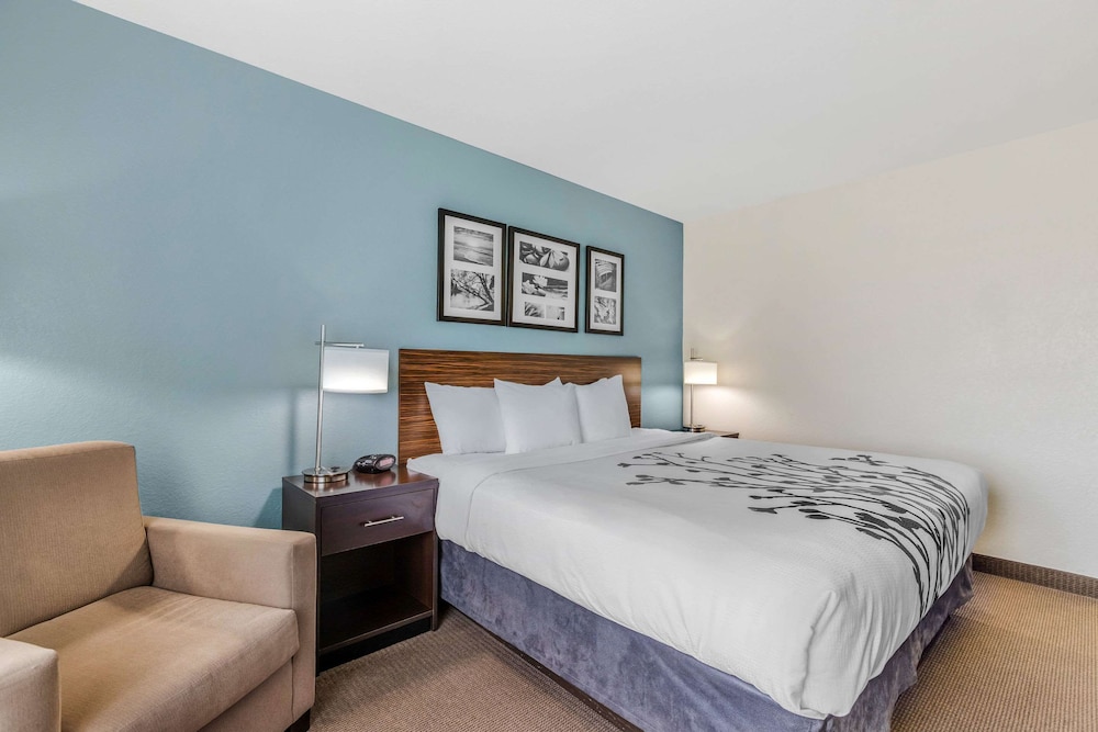 Room, King Bed, Accessible