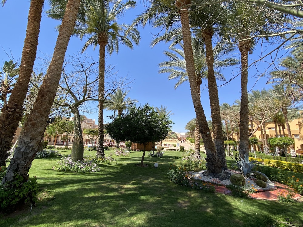 Sharm Grand Plaza Resort 34/43