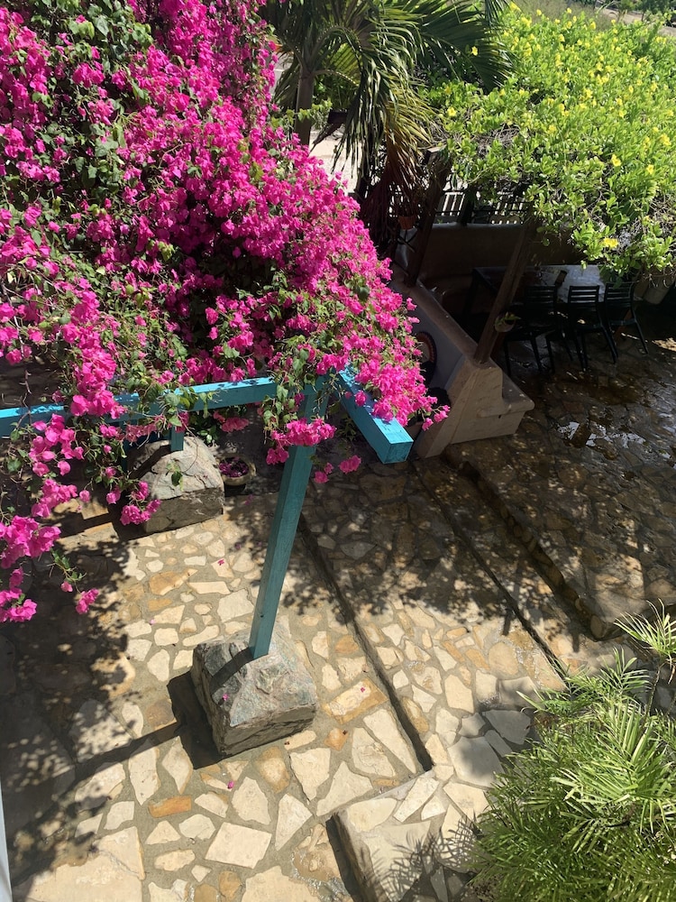 All Seasons Guest House 31/50