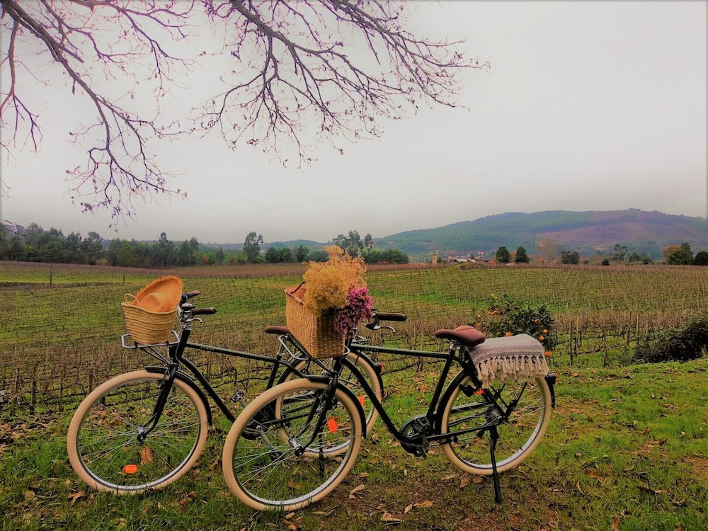 Terra Rosa Country House & Vineyards 41/50
