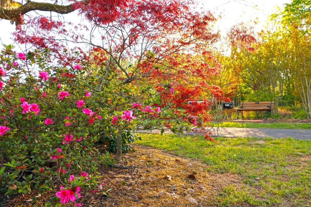 surroundings