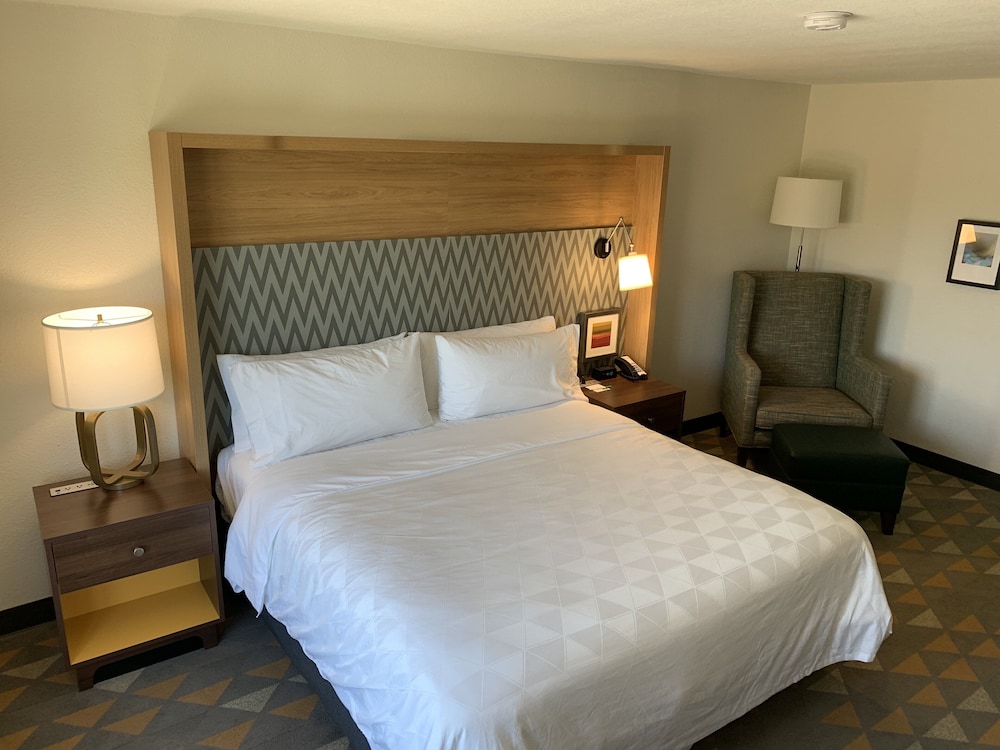 Holiday Inn Baton Rouge South 10/37