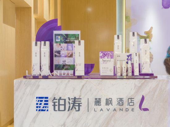 Lavande 6/31