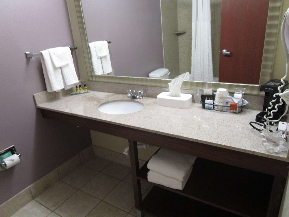Best Western Morgan City Inn 13/39