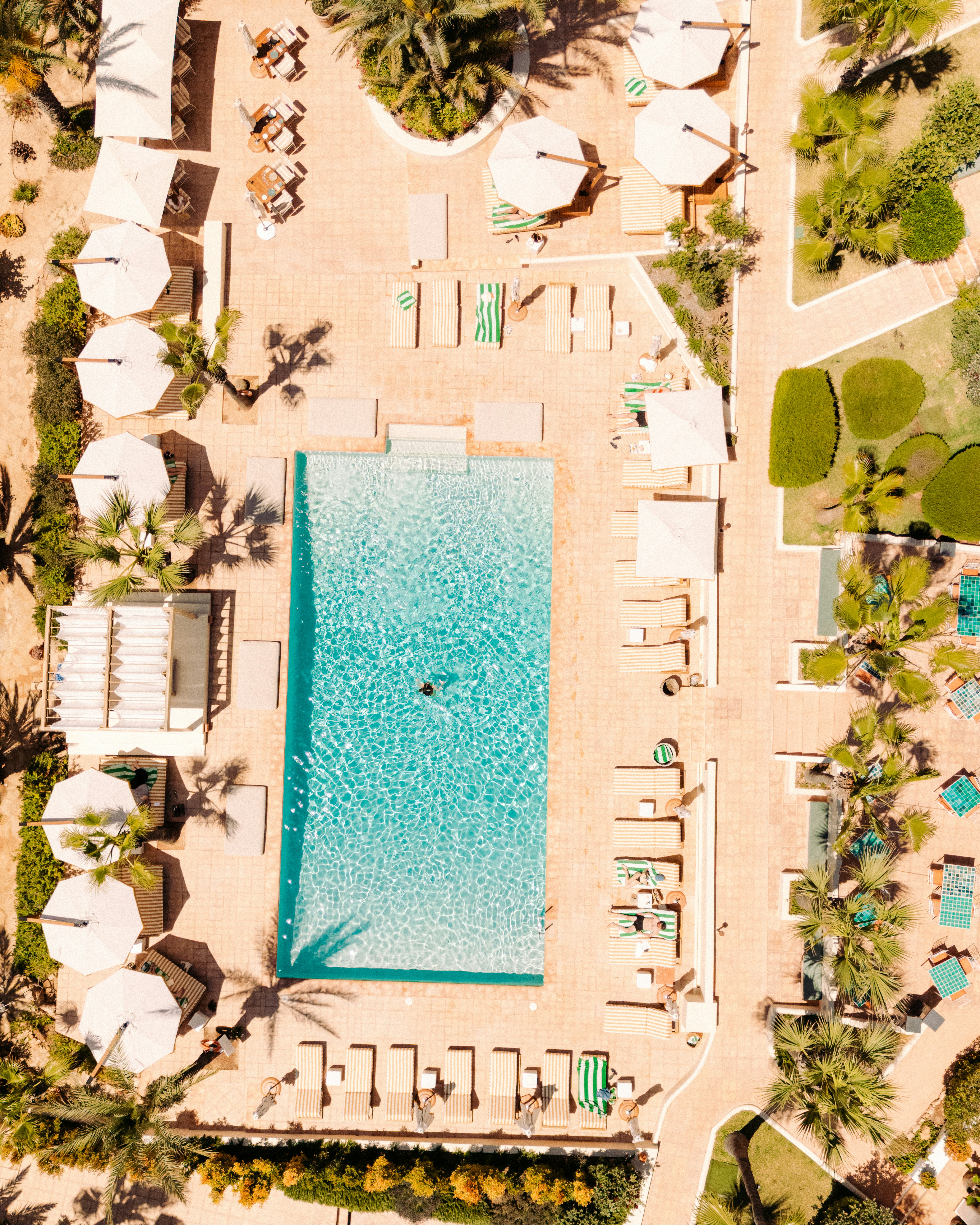 Petunia Hotel Ibiza 3/50