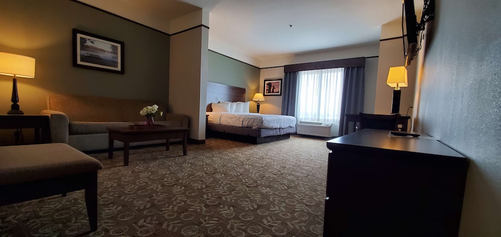 Best Western Plus Emory At Lake Fork Inn And Suites 30/42