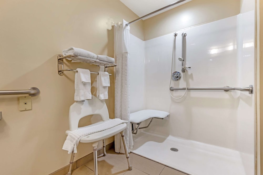 Comfort Inn & Suites Orangeburg 36/36