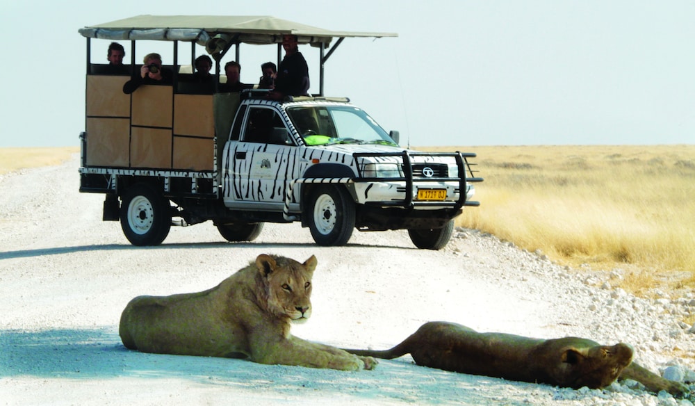 Etosha Safari Lodge 57/63