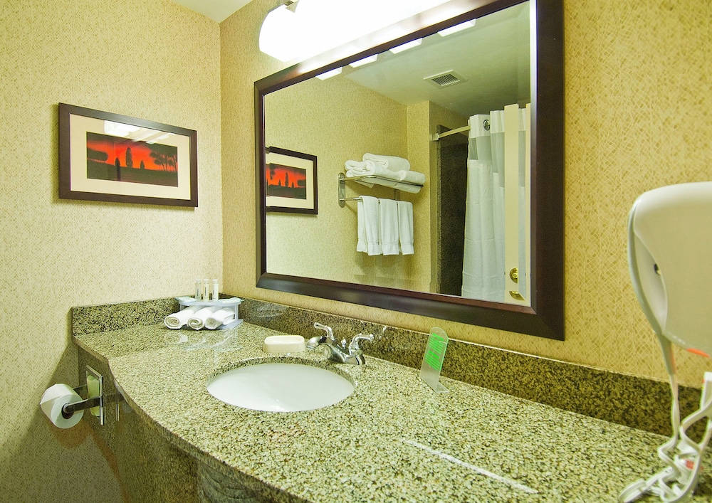 Holiday Inn Express Suites Oro Valley Tucson North Ex Wingate By Wyndham Tucson North Oro Valley 46/46