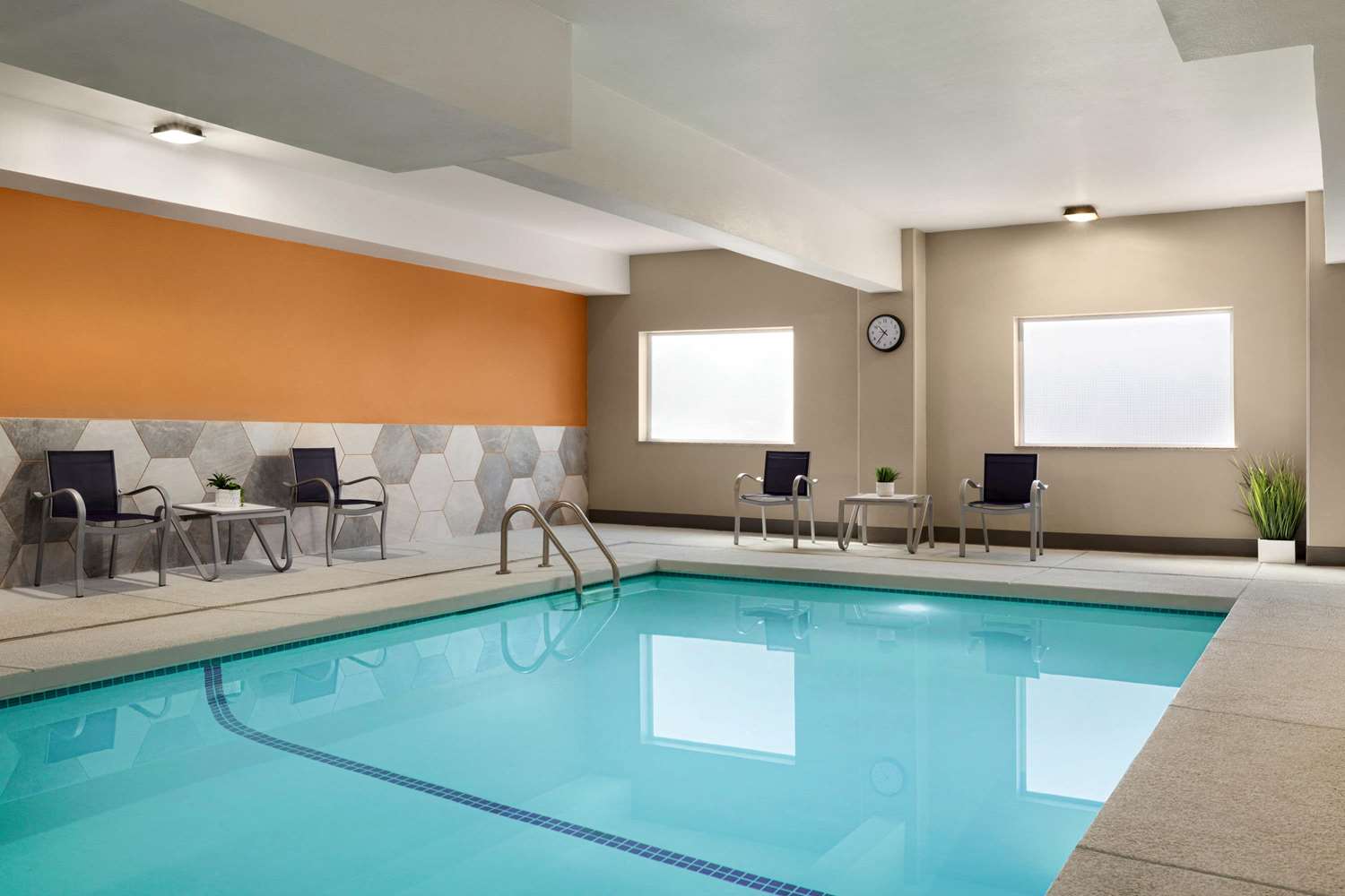 swimming pool spa