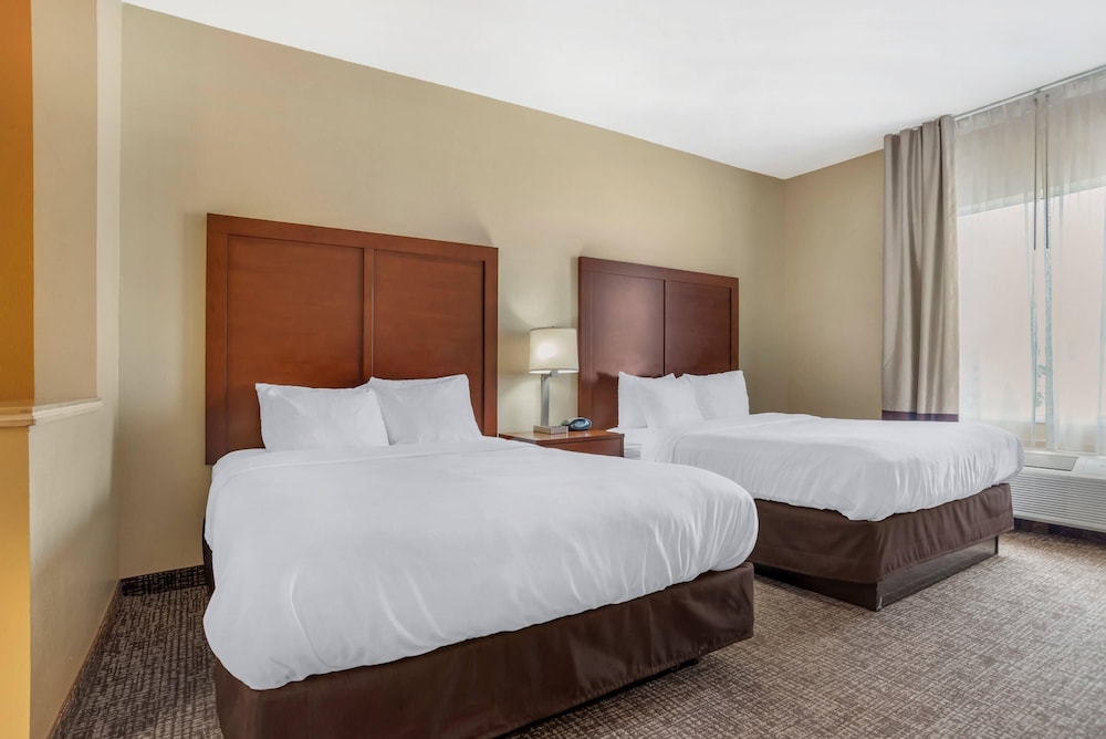 جناح بسريرين كوين مع أريكة لذوي الإعاقة، Comfort Suites Montgomery East Monticello Dr 3/10