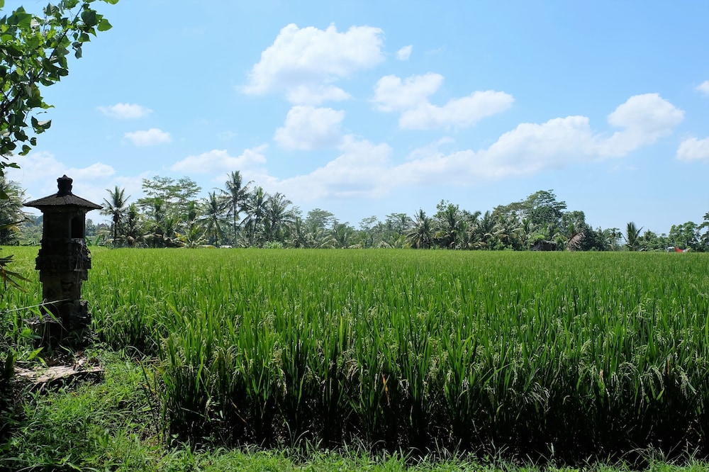 Samkhya Villas 69/71