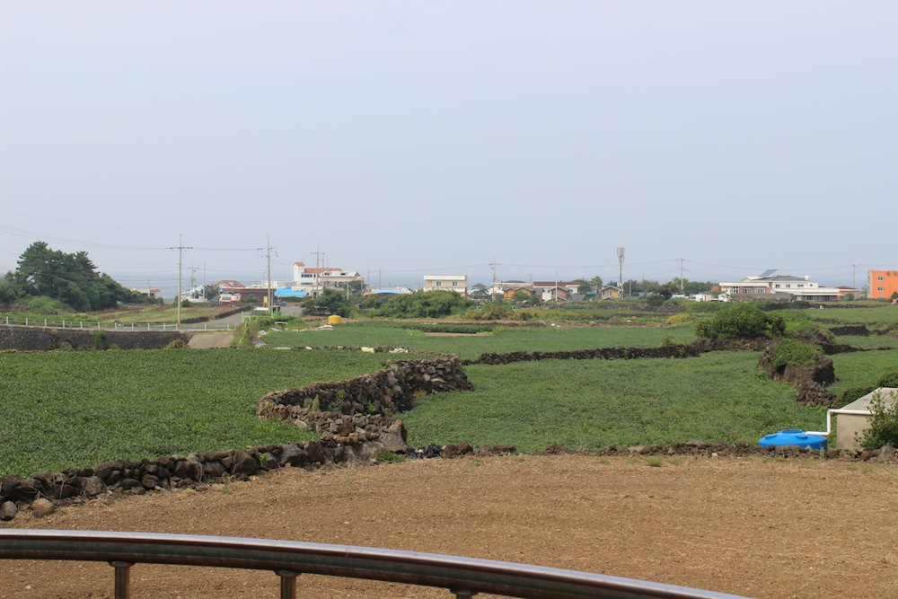 Jeju Feel House 32/50
