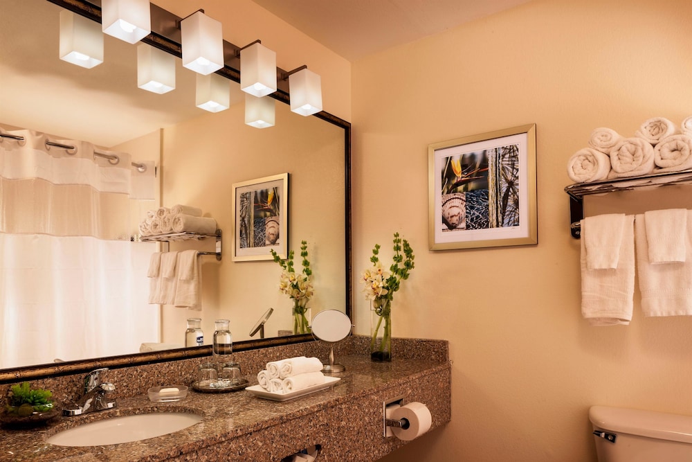 Best Western Plus Hotel Lewisville Flower Mound 25/40