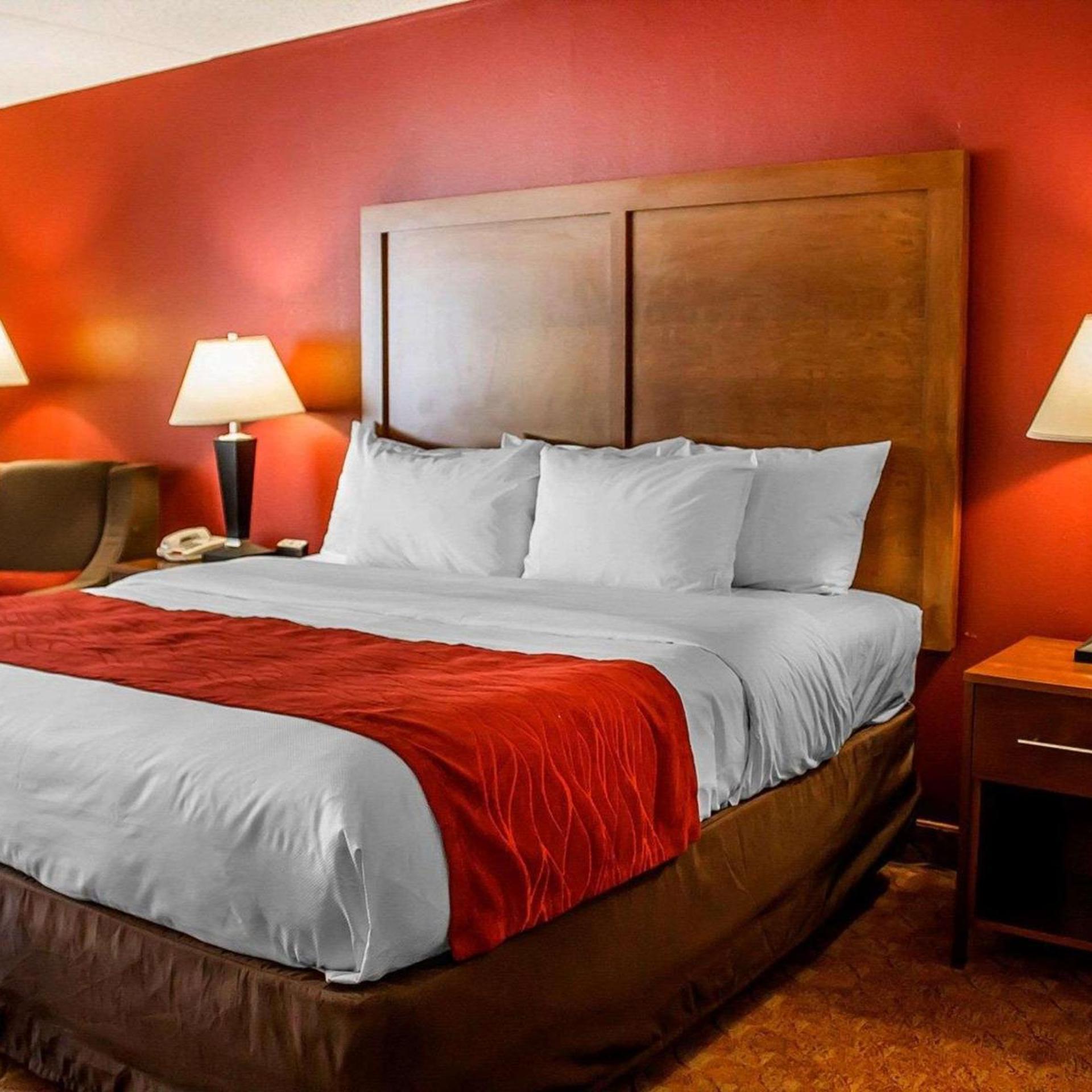 Room, King Bed