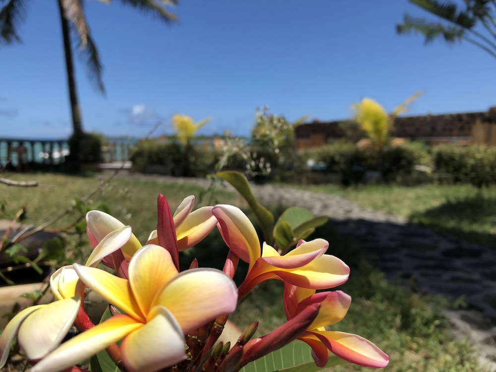 Coco Villa 25/35