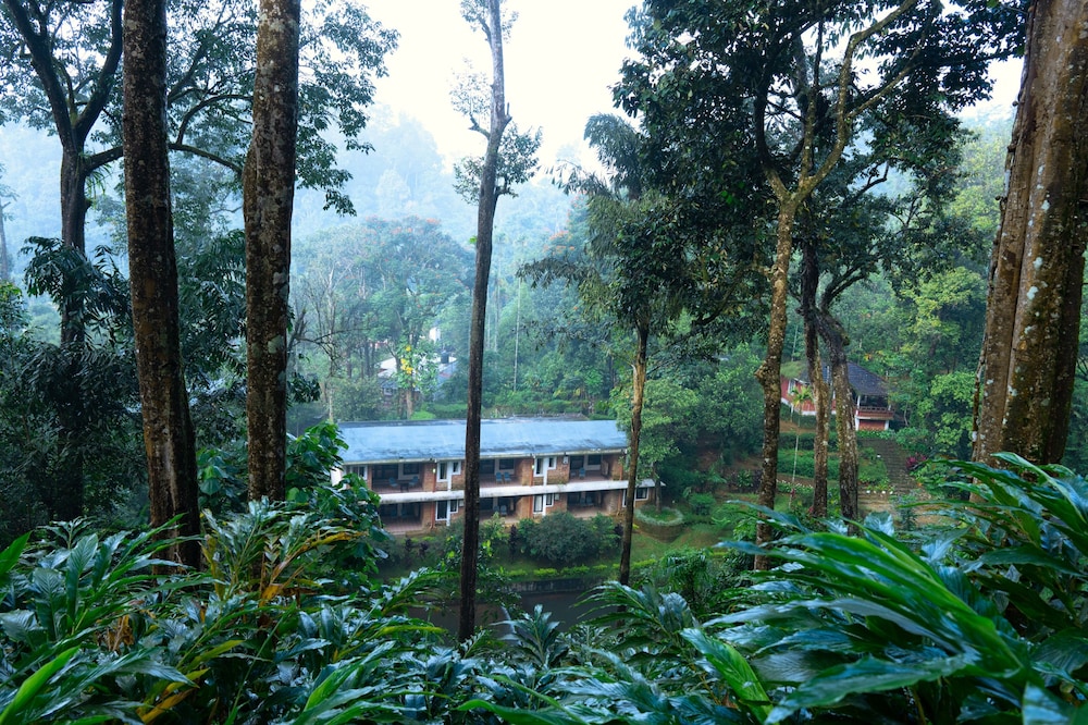 Falling Waters 40/50