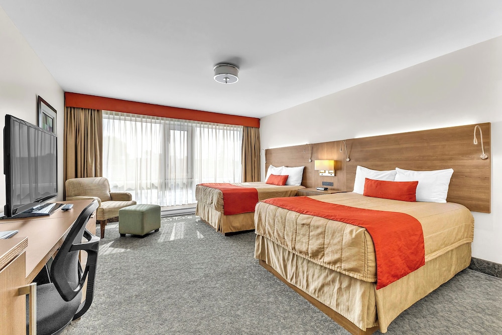 Motel Adam 20/70