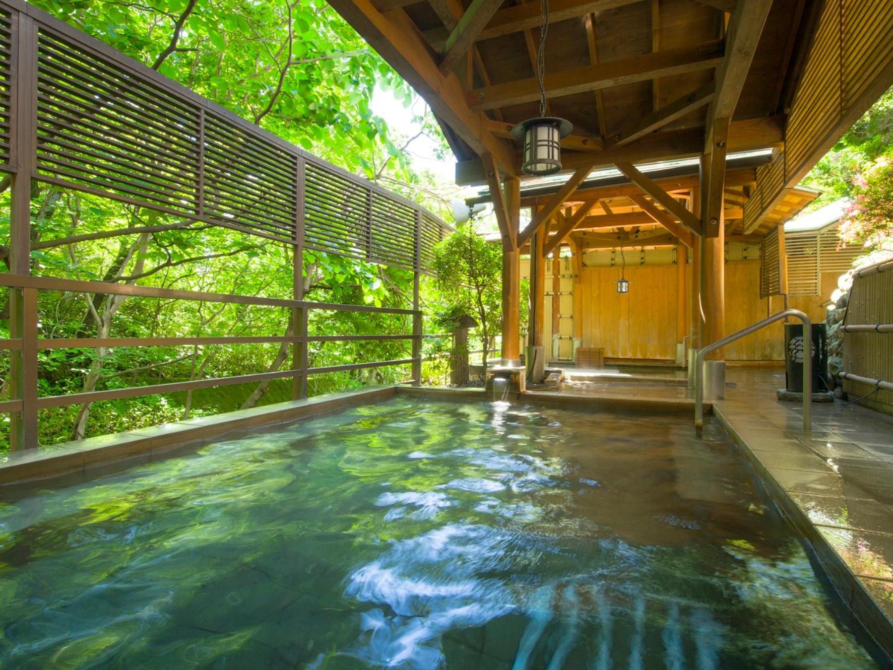 Shin Nasukogen Onsen Kokorono Oyado Jizaiso 19/38