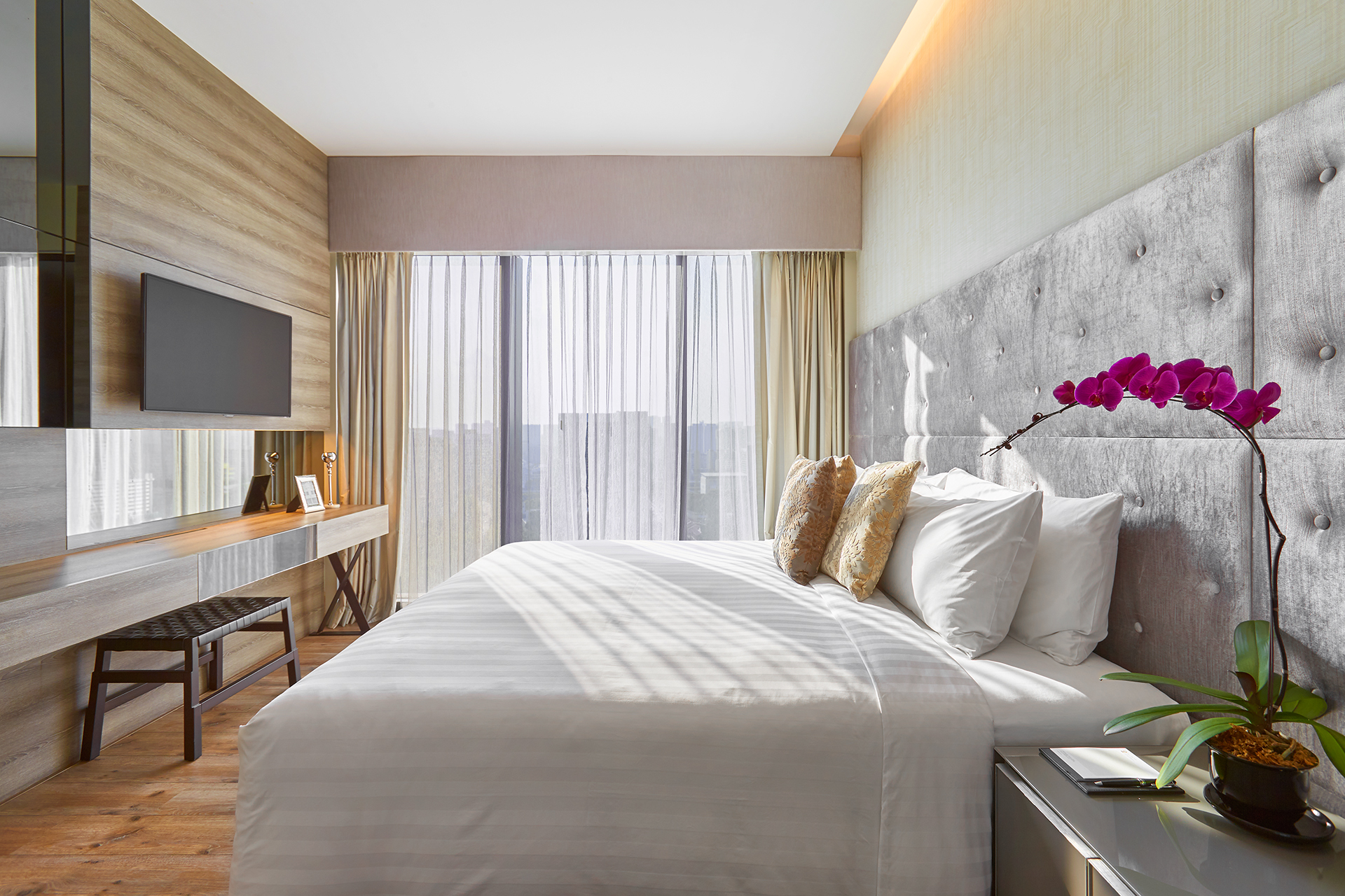 1 Bedroom, Deluxe, Suite