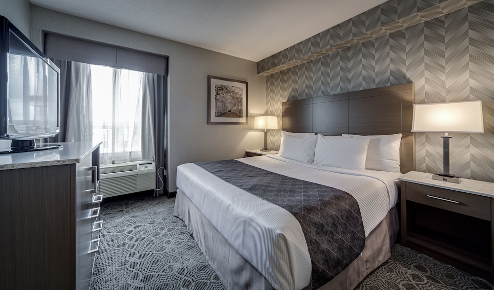 SUITE, QUEEN BED, SOFA