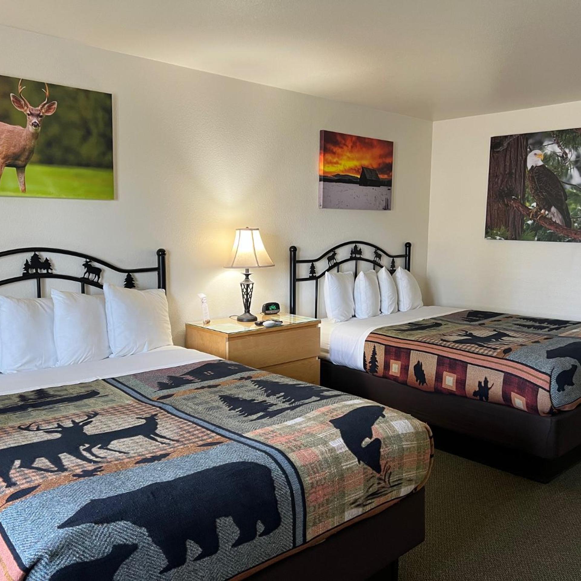 Antlers Inn 11/50