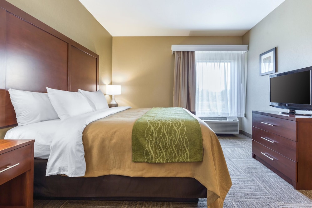 Comfort Inn Collinsville near St. Louis 14/46