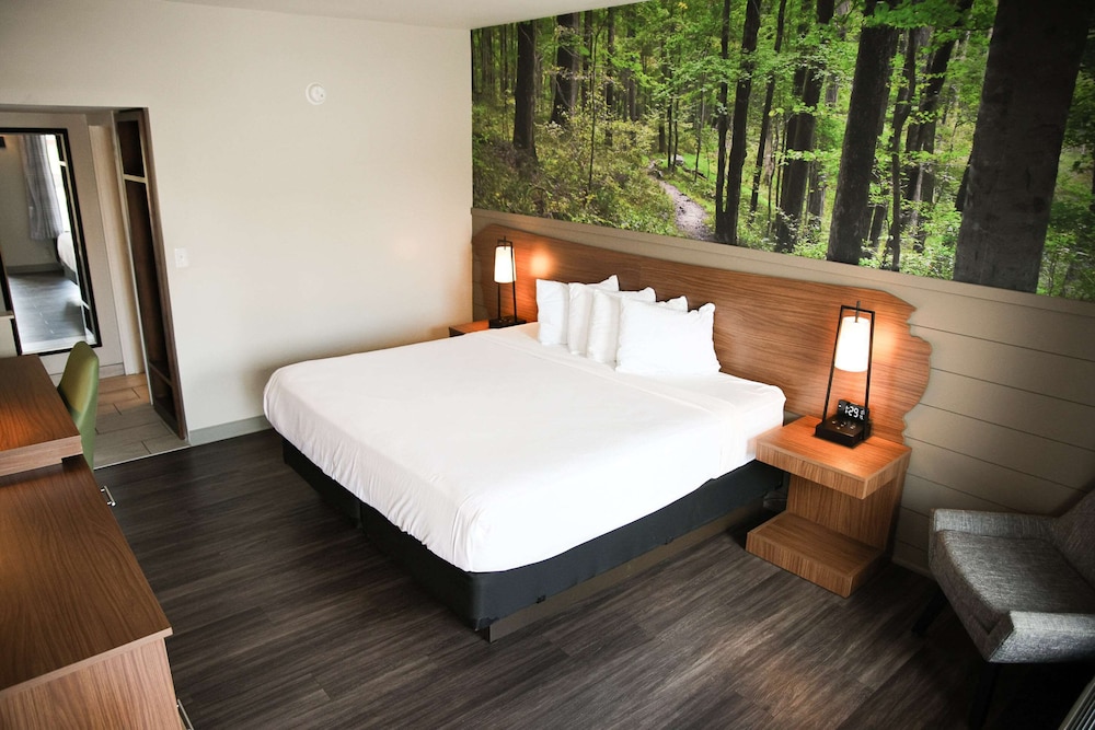 Theme, Standard, King Bed, Accessible