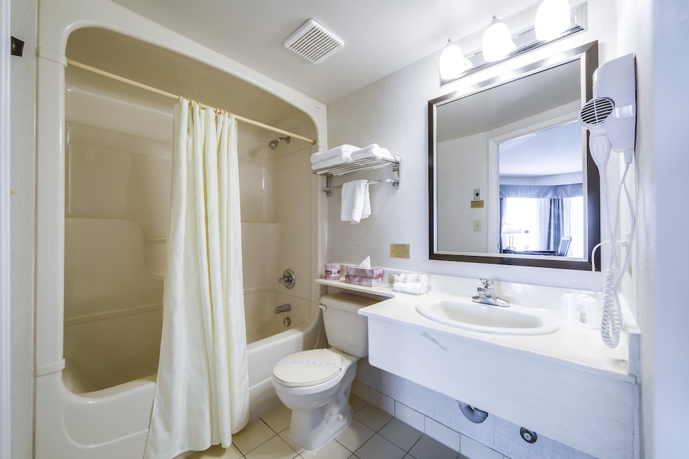 Monte Carlo Inn Oakville Suites 19/68