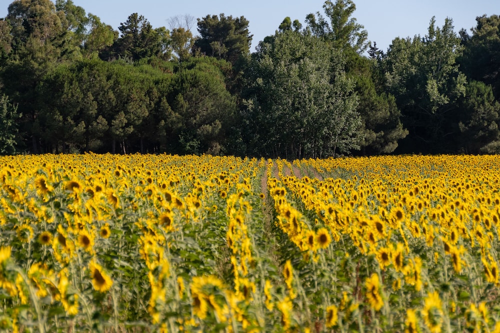 Villaggio Mare Verde 35/50