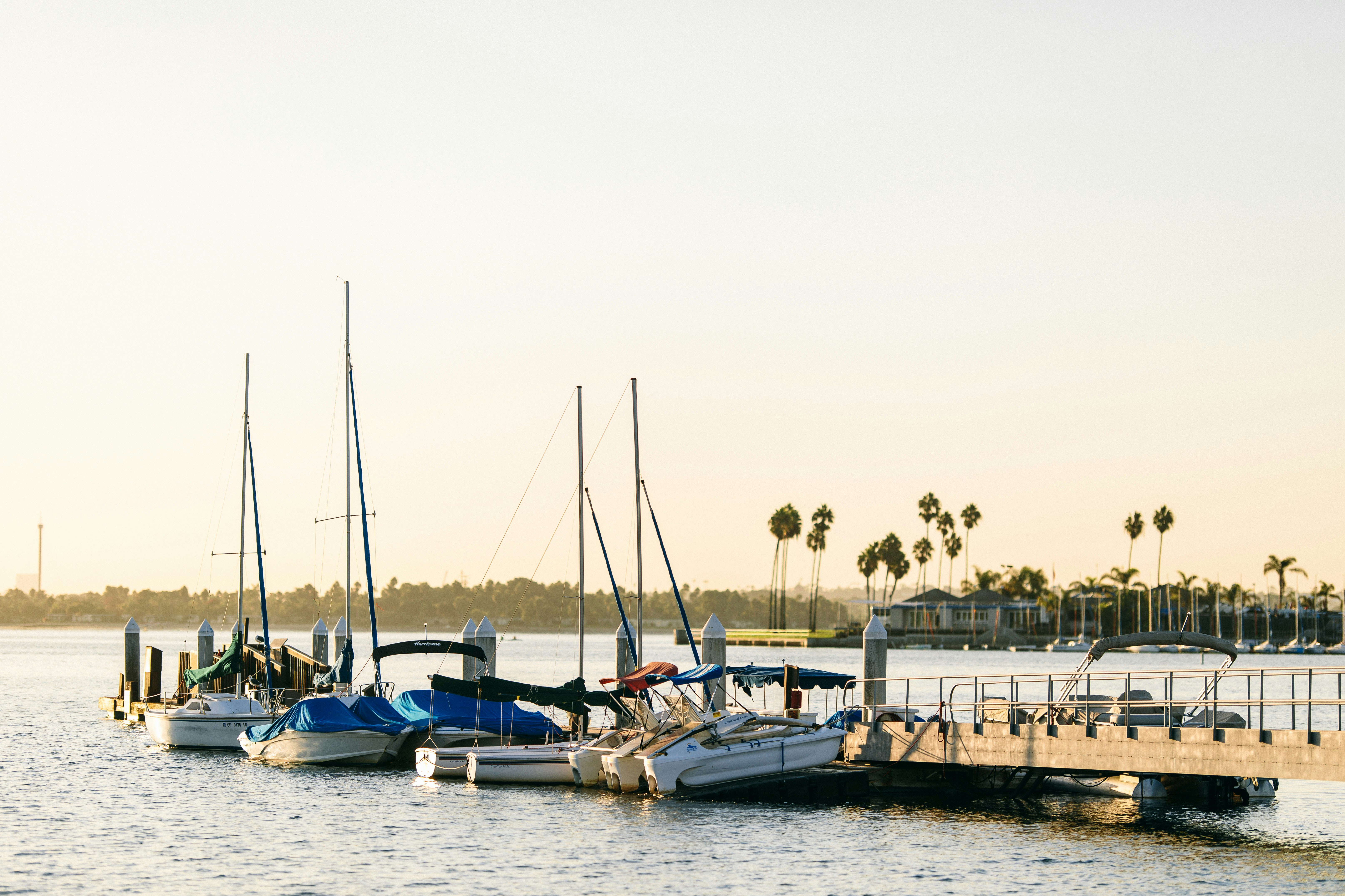 Catamaran Resort Hotel and Spa 72/83