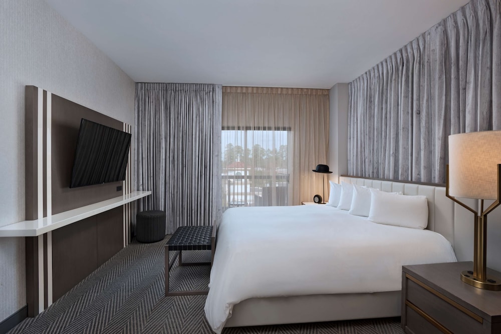 Hyatt Centric the Woodlands 20/63
