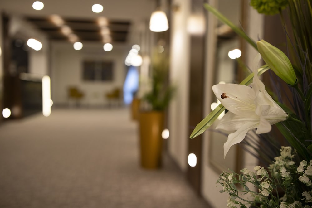 Luxury Rooms Velika Skadarlija 4/70