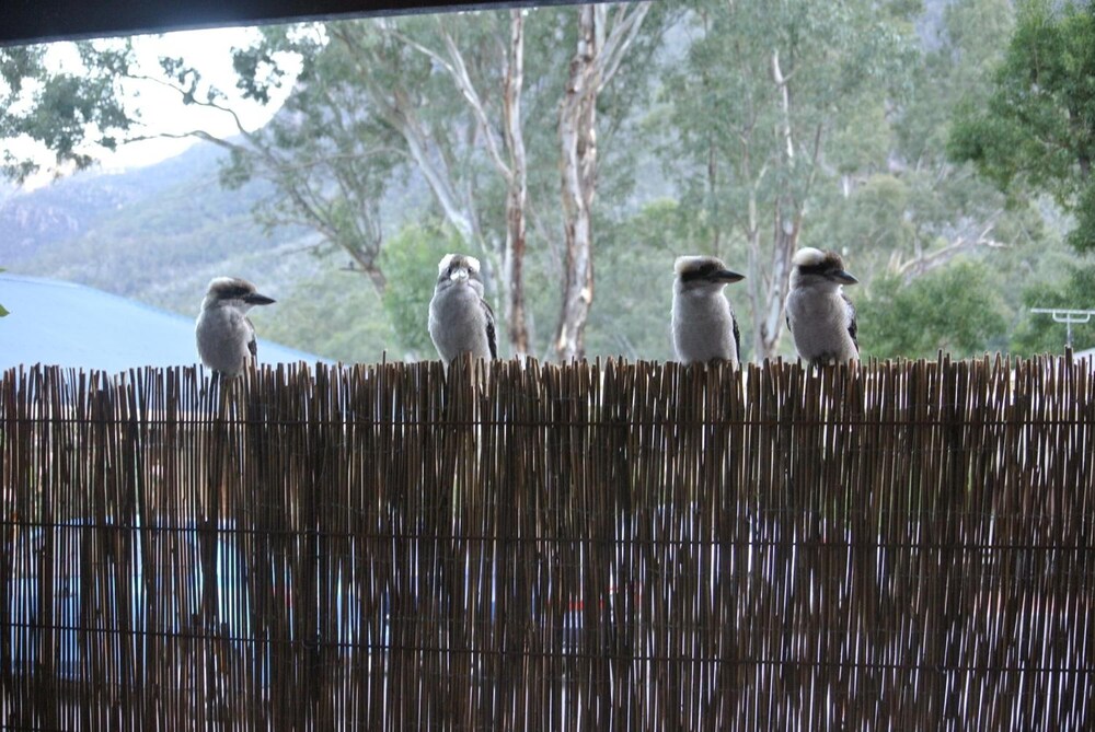 Kookaburra Motor Lodge 40/46