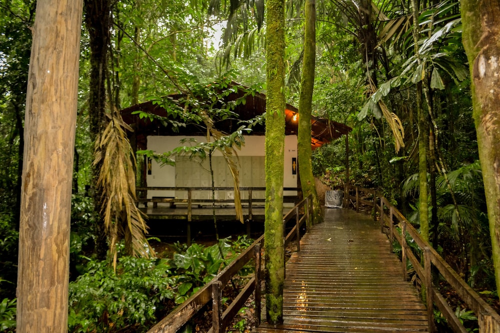 Termales del Bosque and Hot Springs 38/50