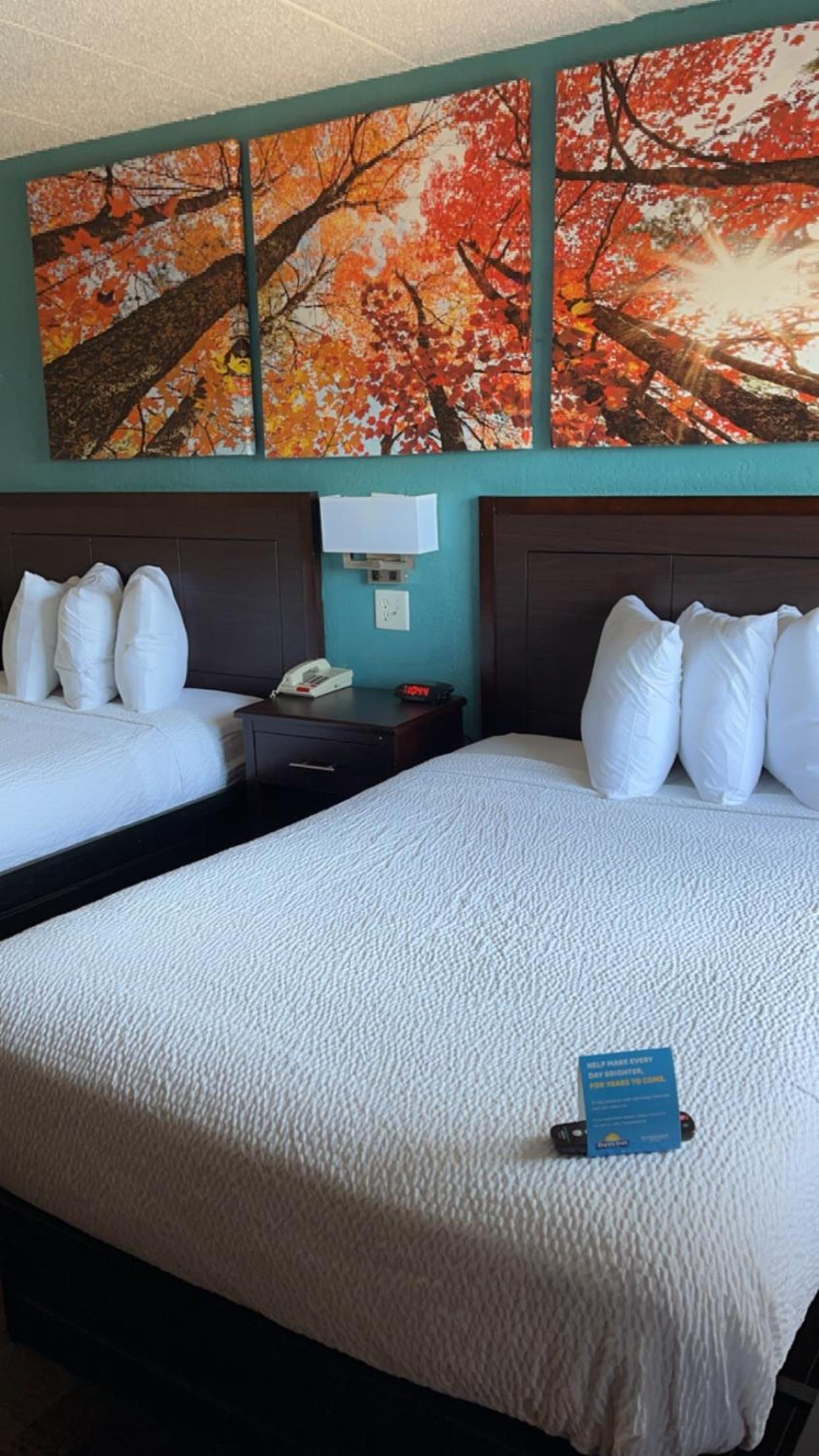 Standard, 2 Double Beds