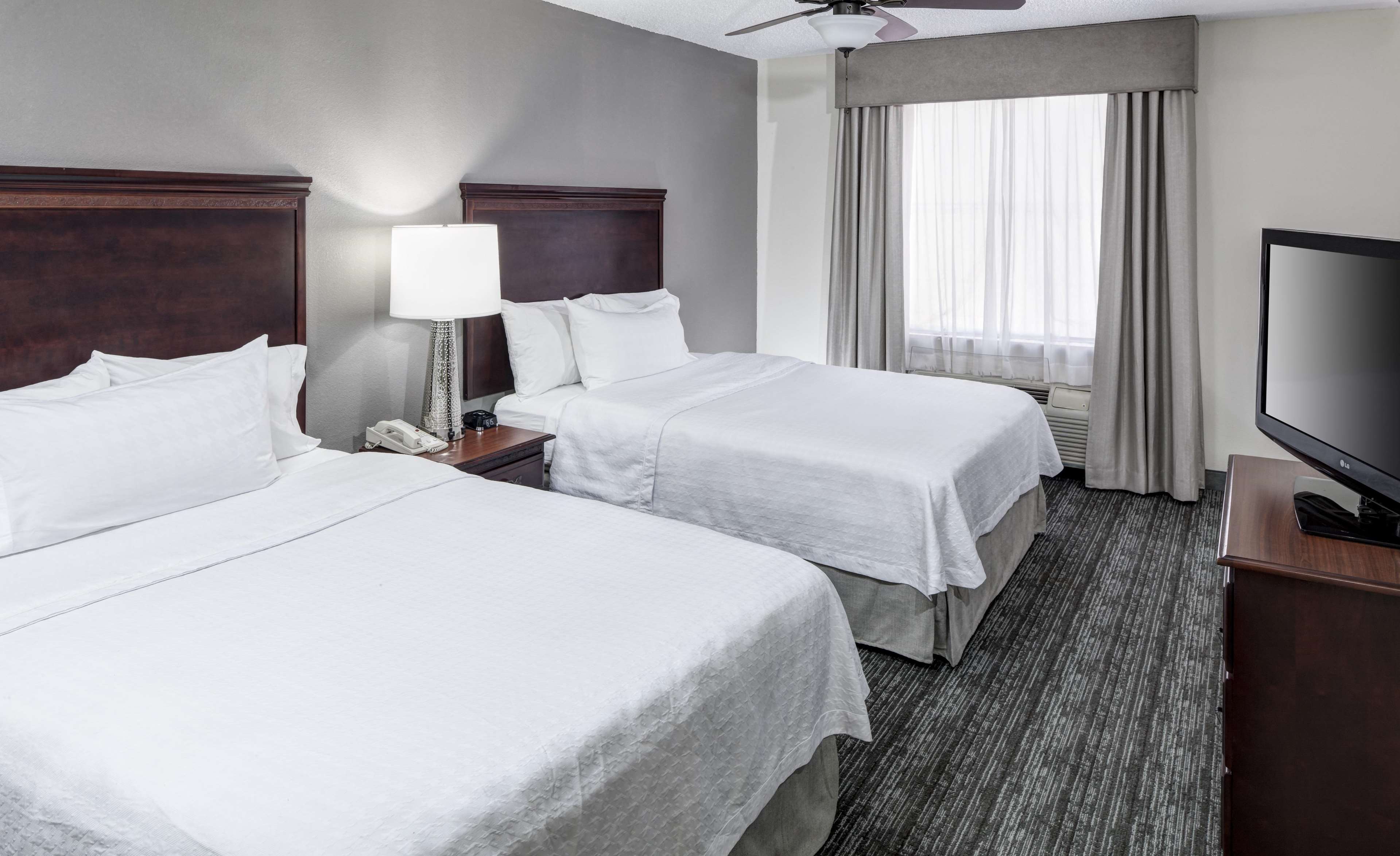 SUITE, 1 KING OR 2 QUEEN BEDS, ACCESSIBLE