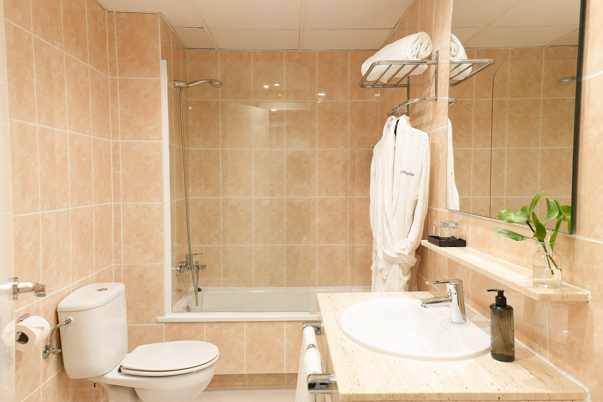 Arenas Atiram Hotel 48/50