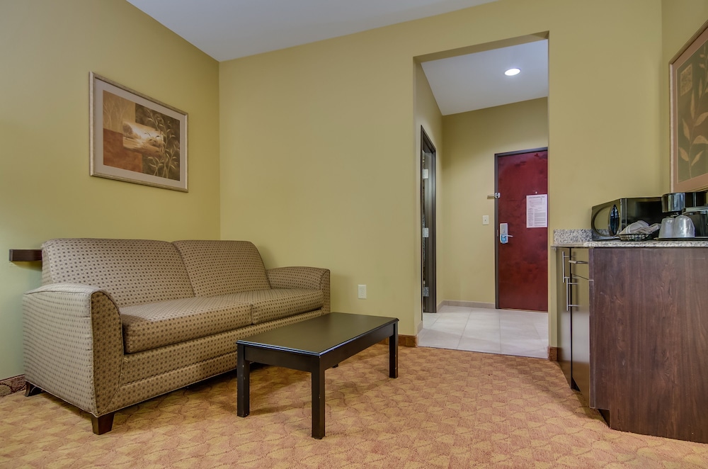 Comfort Suites Old Town Spring, TX 30/44