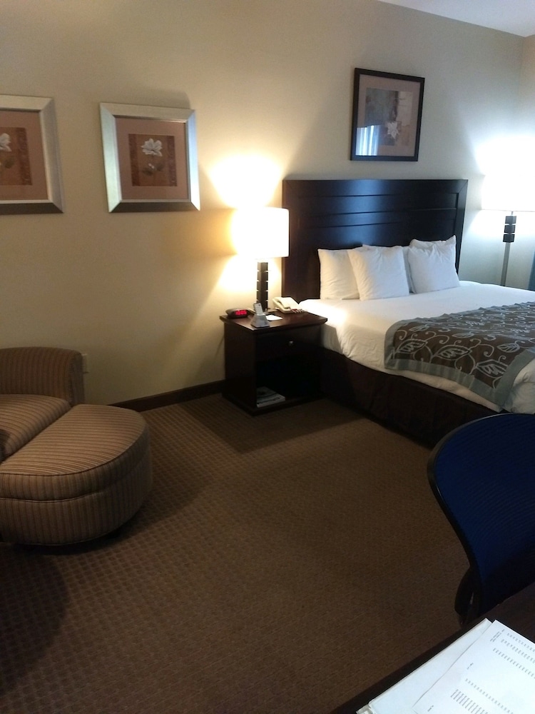 Wingate by Wyndham New Braunfels 13/31