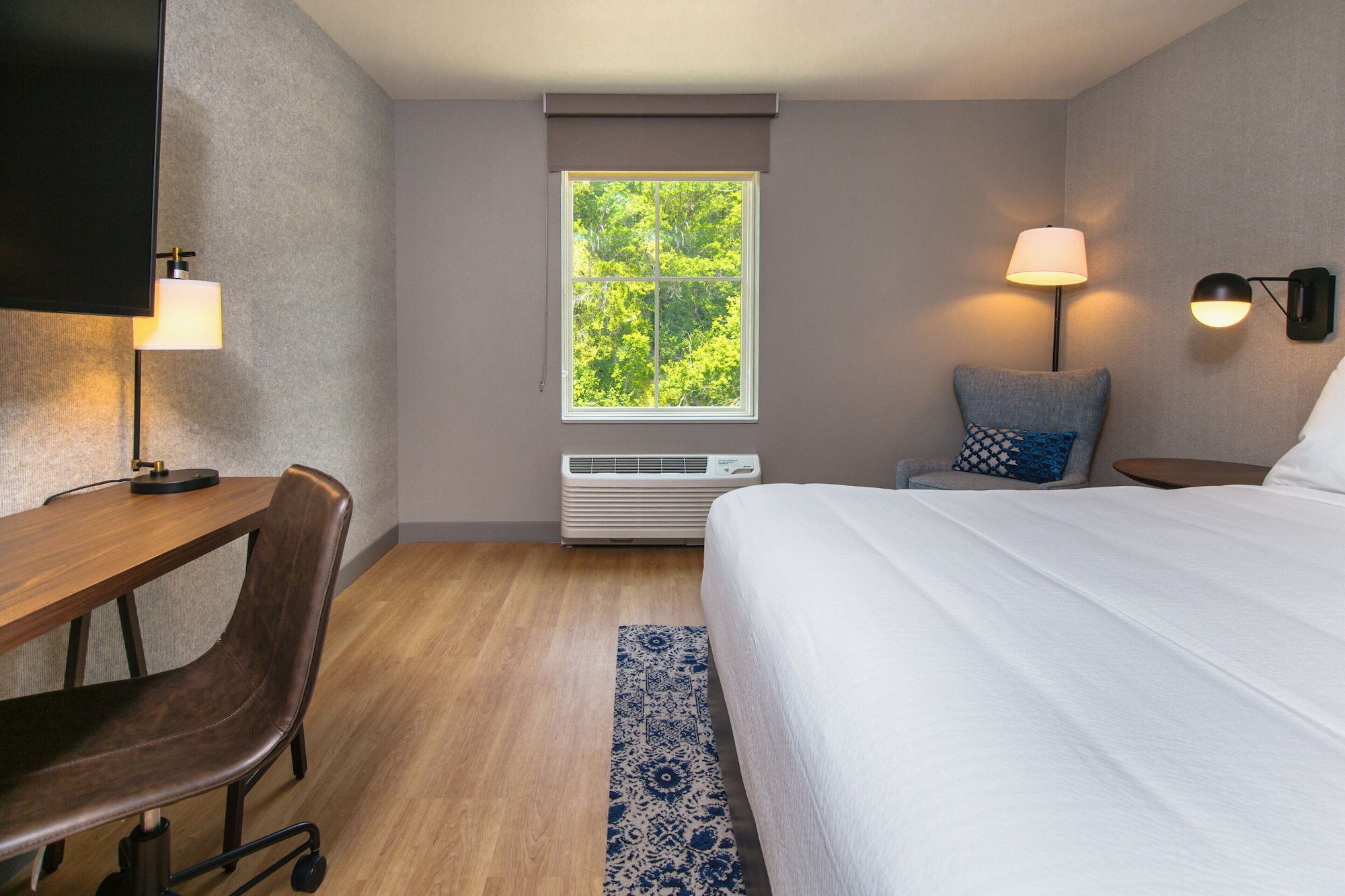 Room, King Bed