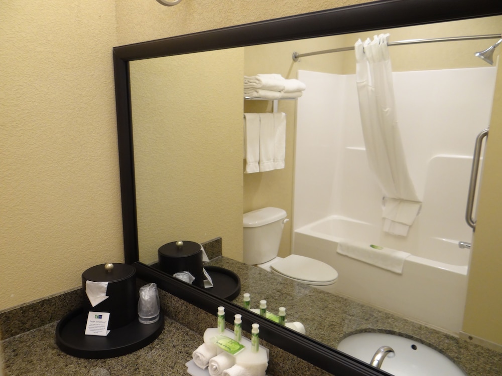 Holiday Inn Express Hotel And Suites Salisbury Delmar 56/68
