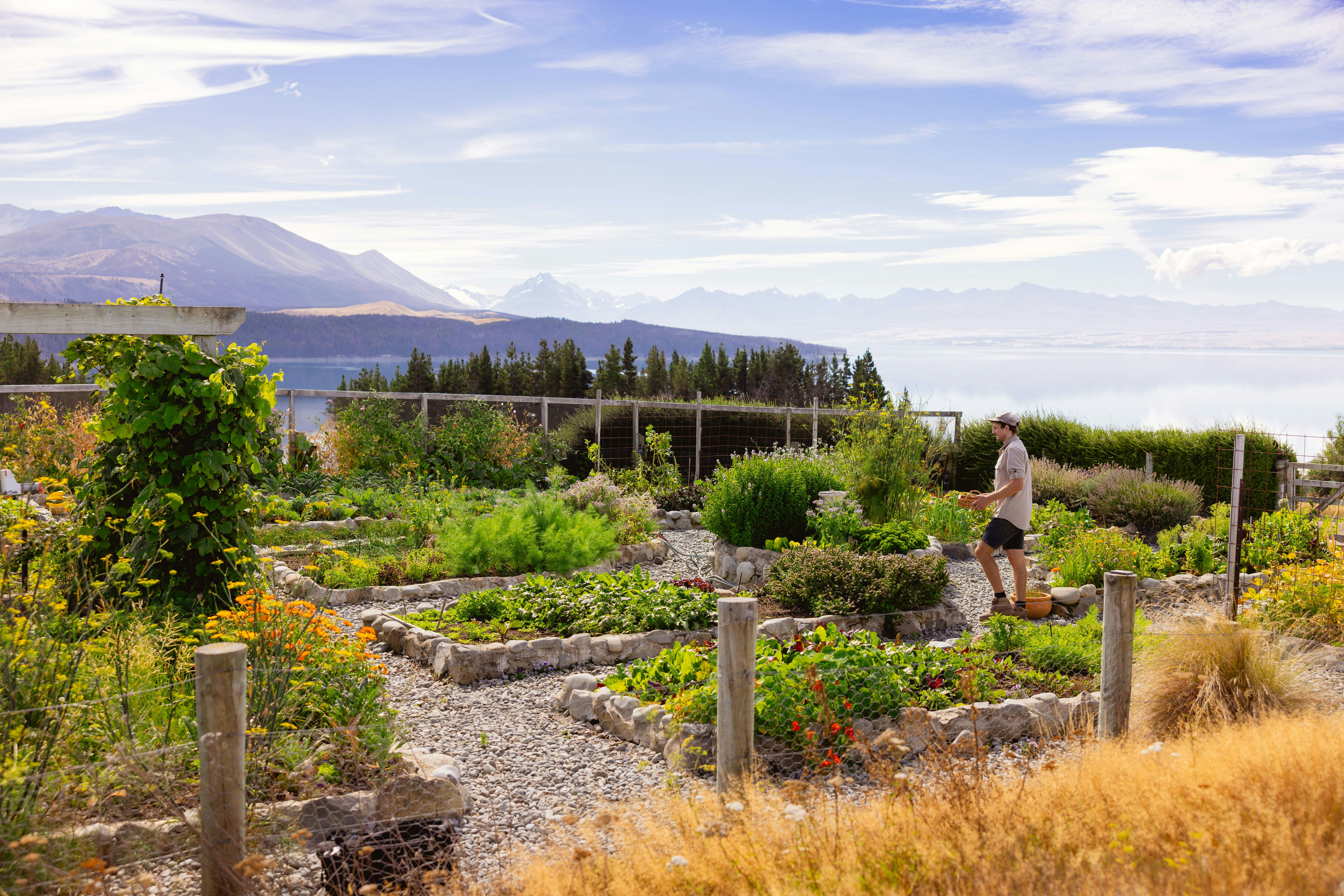 Mt Cook Lakeside Retreat 45/49